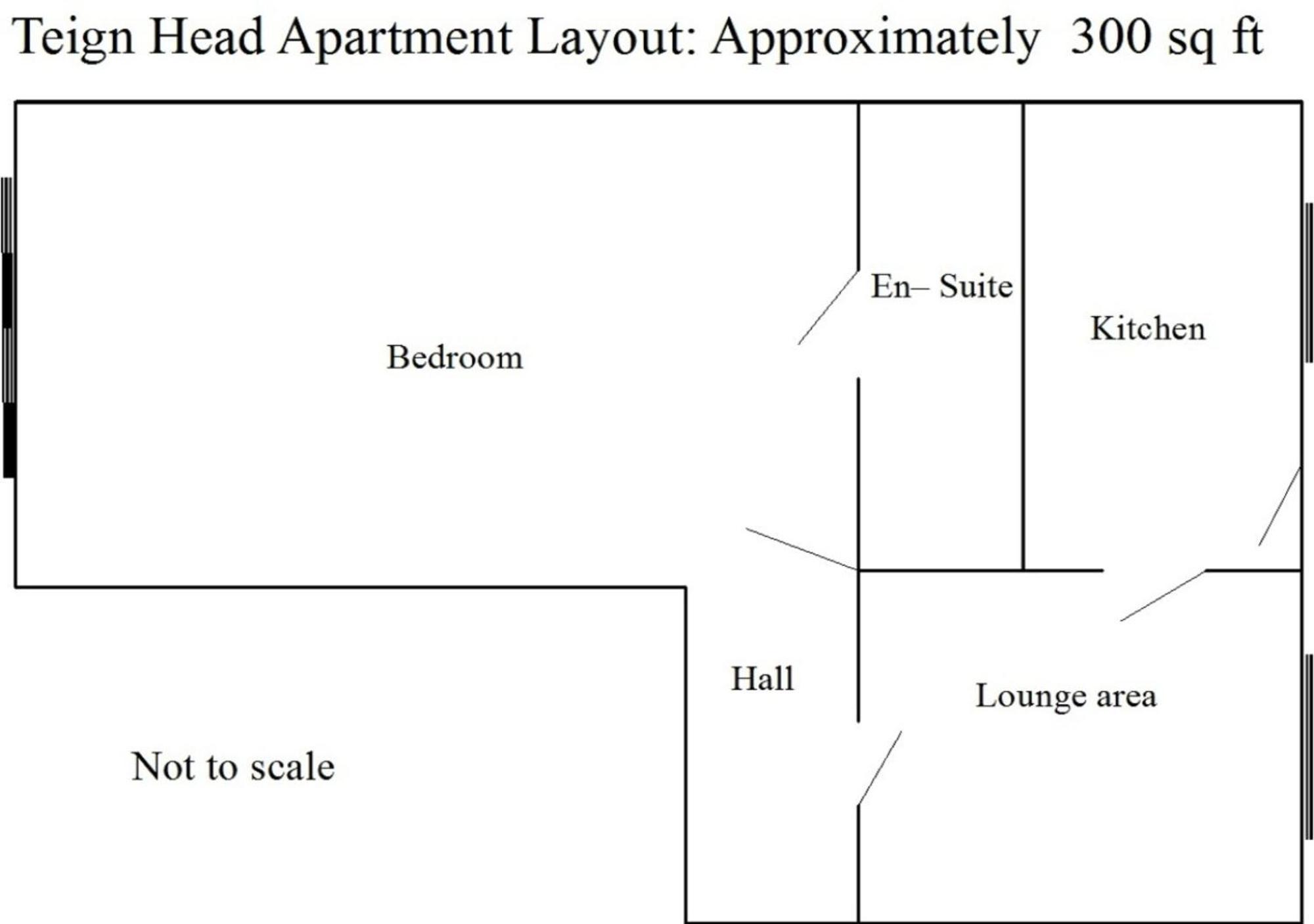 Teign Head Apartment Ньютон Эбэт Экстерьер фото